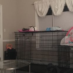 Extra Large Kennel