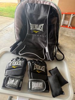 Everlast gloves and bag