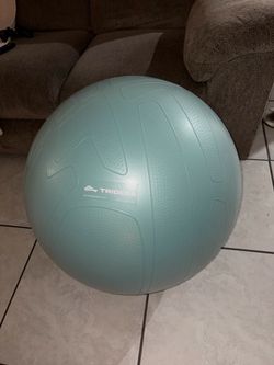 Trideer Exercise Ball & pregnancy pillow