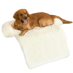 Calming Dog Bed