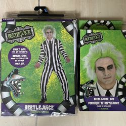 Adult Beetlejuice Costume Bundle-L/XL