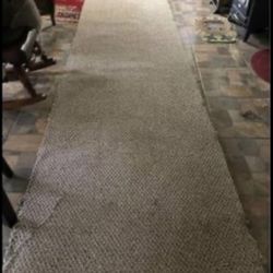 Carpet New (42x24