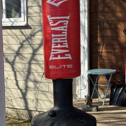 Everlast Elite Punching Bag