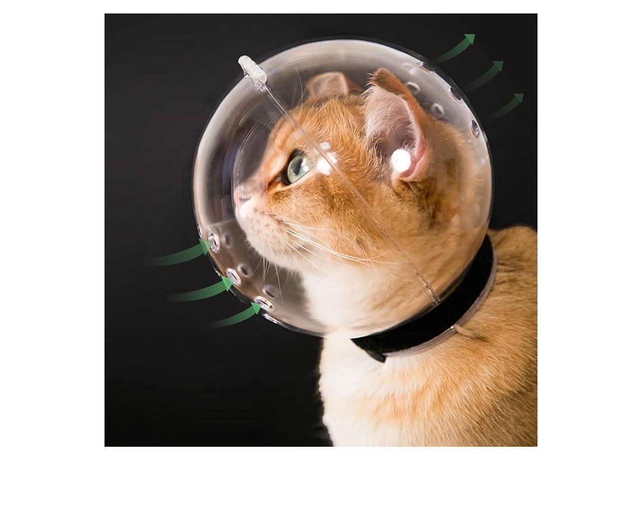 CAt Breathable Muzzle