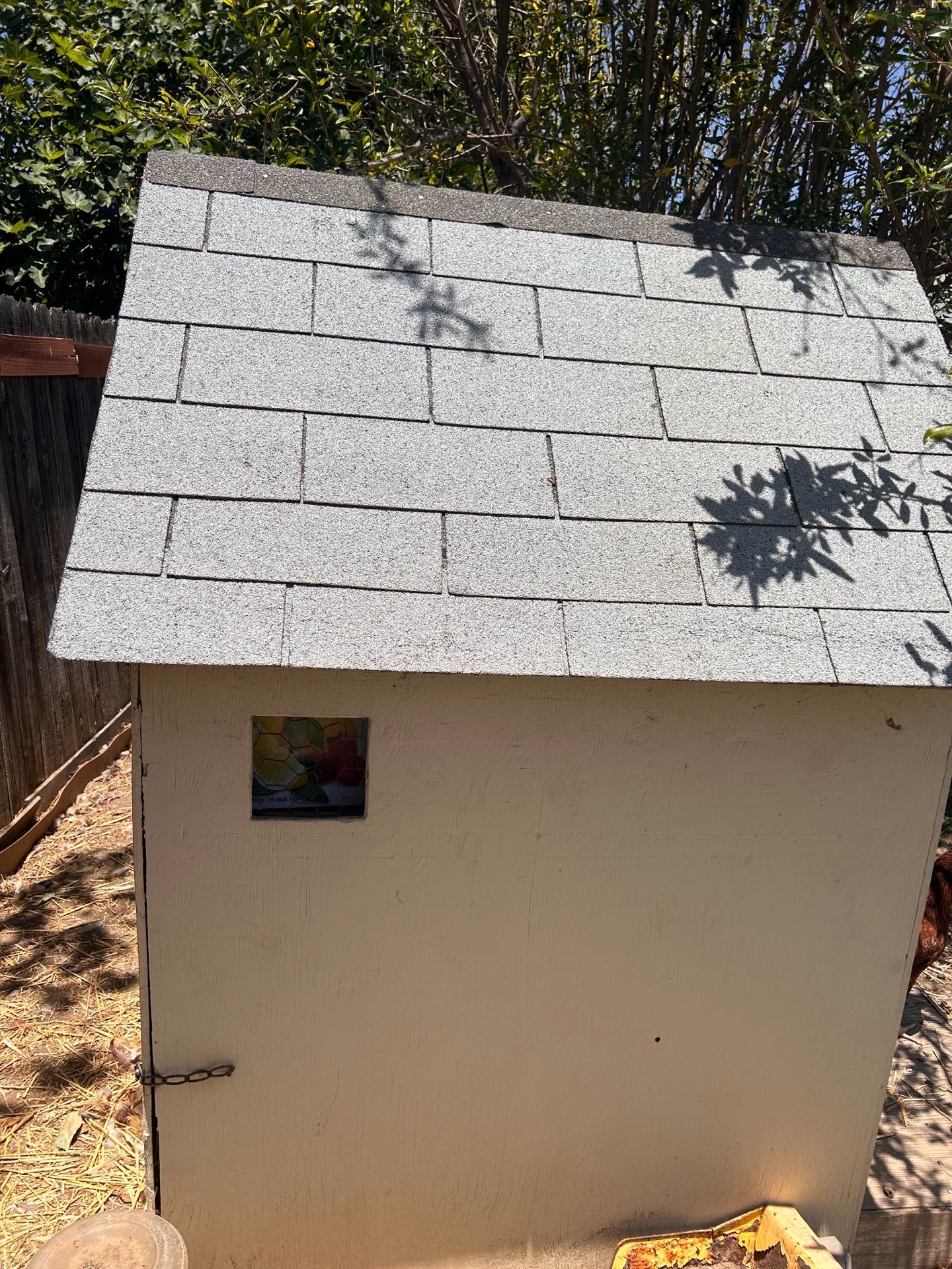 Free chicken coop with automatic for and real roof