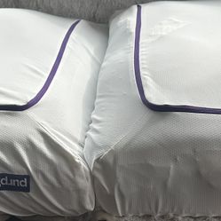 Purple Pillows