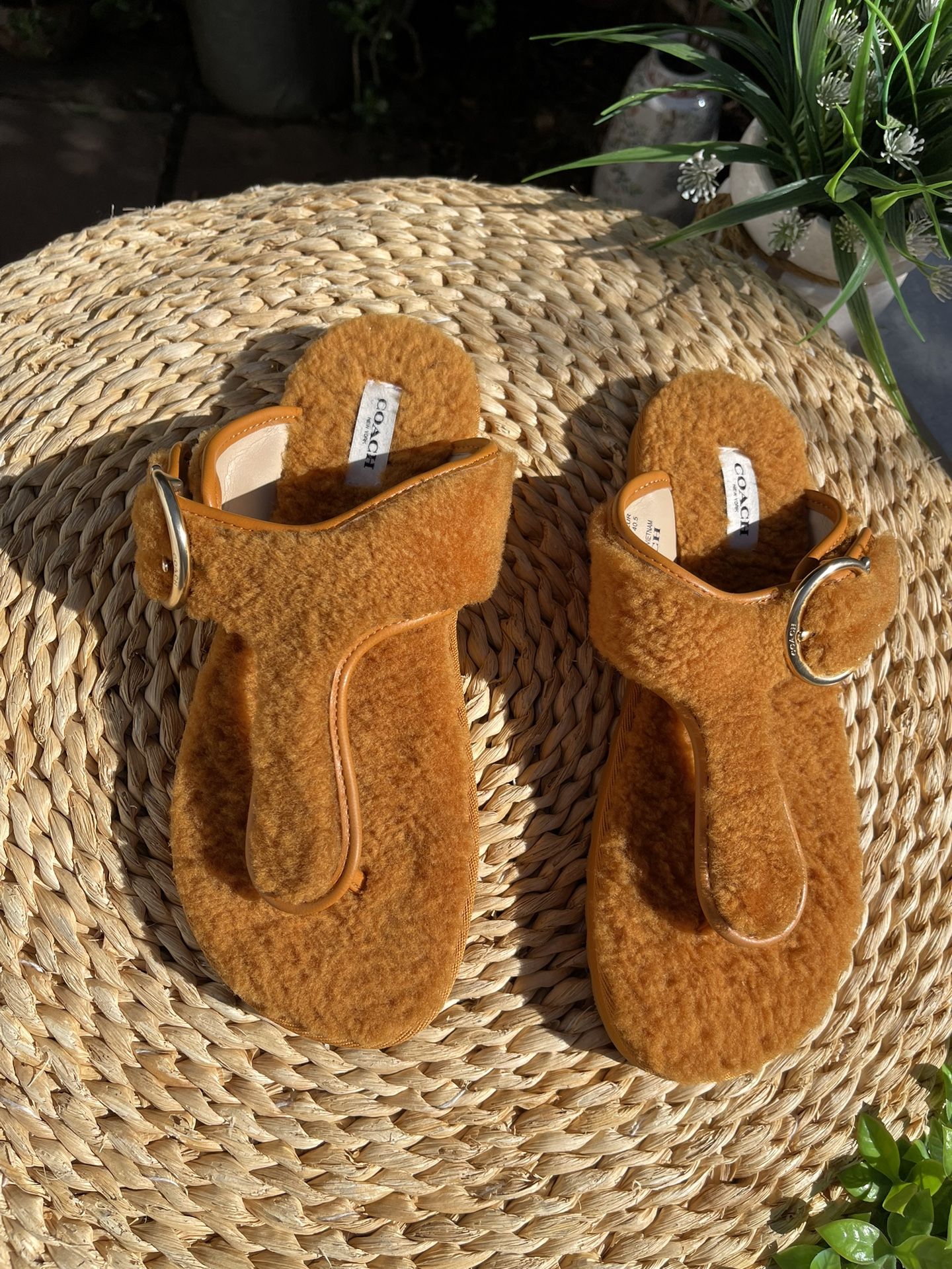 COACH SLIPPERS WOMEN SIZE 10,All Products : American Fashion Style Bags On Sale