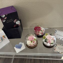 Preserved Rose Real Flowers in Glass Dome with LED Strip, Preserved Flowers