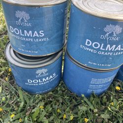 STUFFED GRAPE LEAVEs