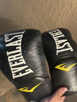 Everlast Boxing Gloves 