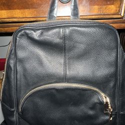 Back Pack Purse 