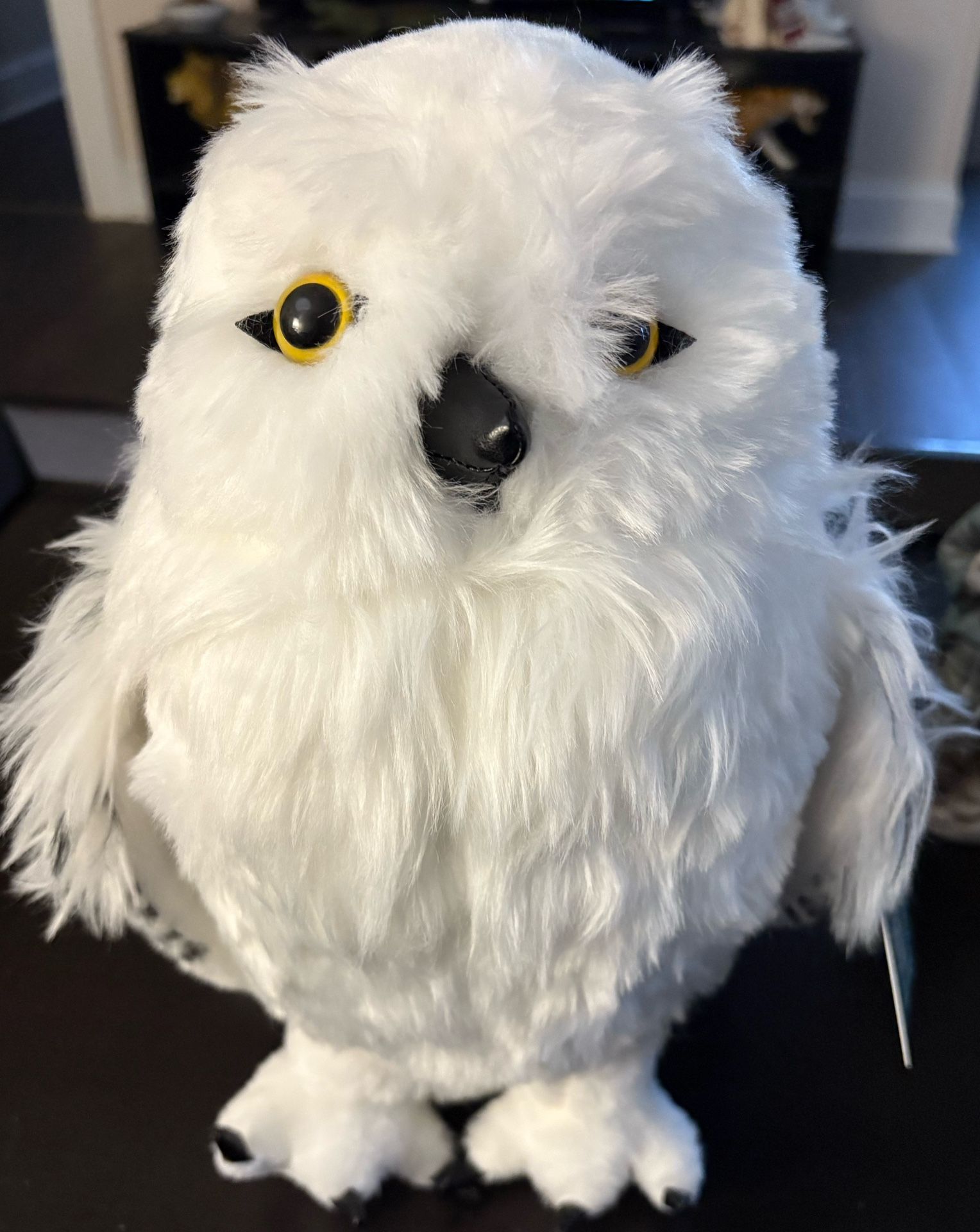 Harry Potter Hedwig 