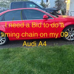 Mechanic wanted for my Audi