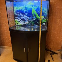 aquarium with stand