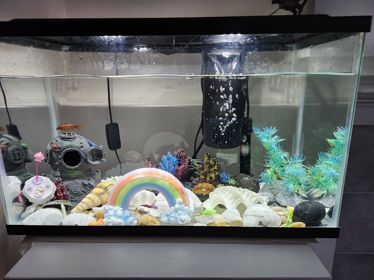 Complete Fish Tank Setup – $45
