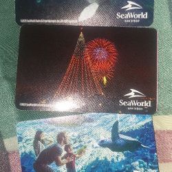 SeaWorld  Tickets 🎟 