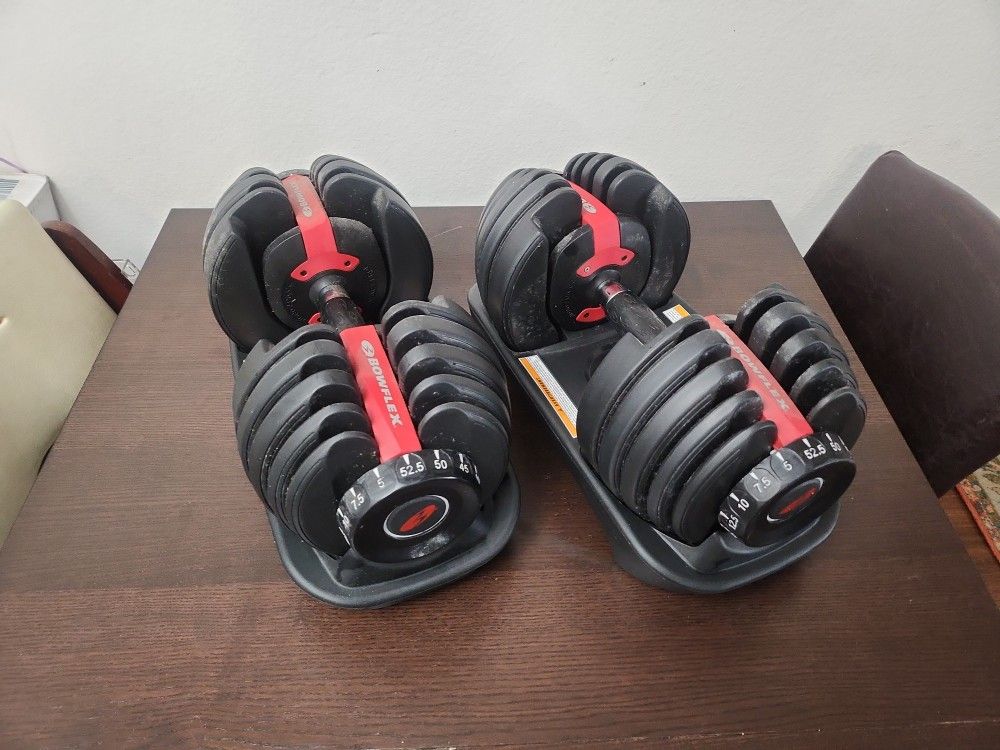 BowFlex Adjustable Dumbbell Set