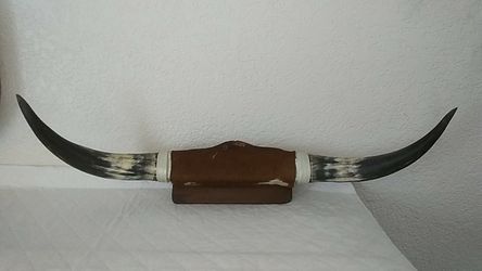 Mounted steer horns