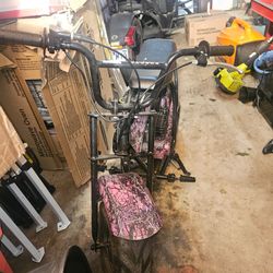 Mini Bike with Pink Camo Fenders