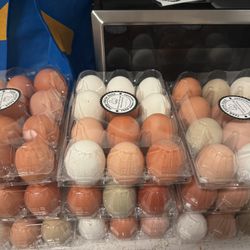 Fresh Eggs $7 