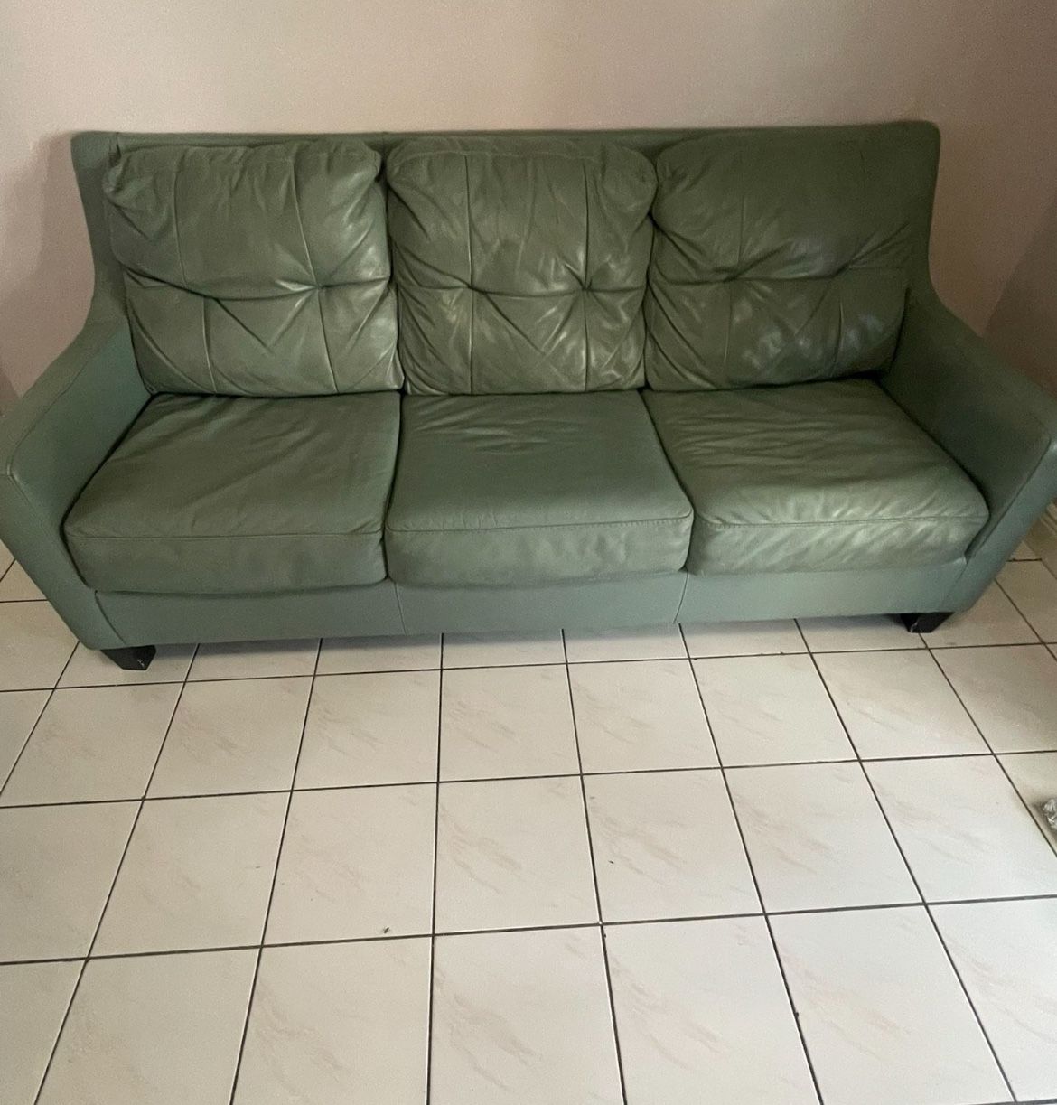 Leather Pullout Couch