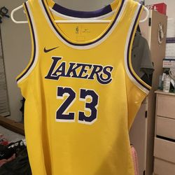 Lebron Jersey #23 (Authentic) 