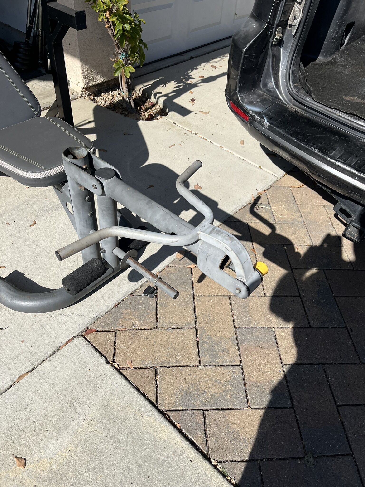 Bench Press and Thigh Fitting