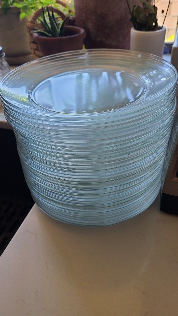 France Arcoroc 28 Glass Plates 8