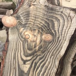 Live Edge Boards And Slabs