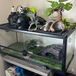 Reptile Cage / Lizard /Pet