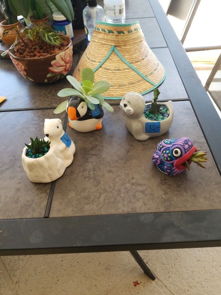 Mini Animal ceramic pots live plants $4 each