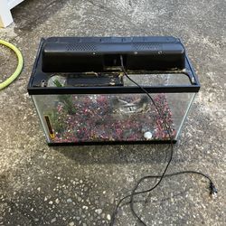 Nice  Fish Tank ( 20 Inch  Long X 10 Inch Wide X 13 Inch Height 
