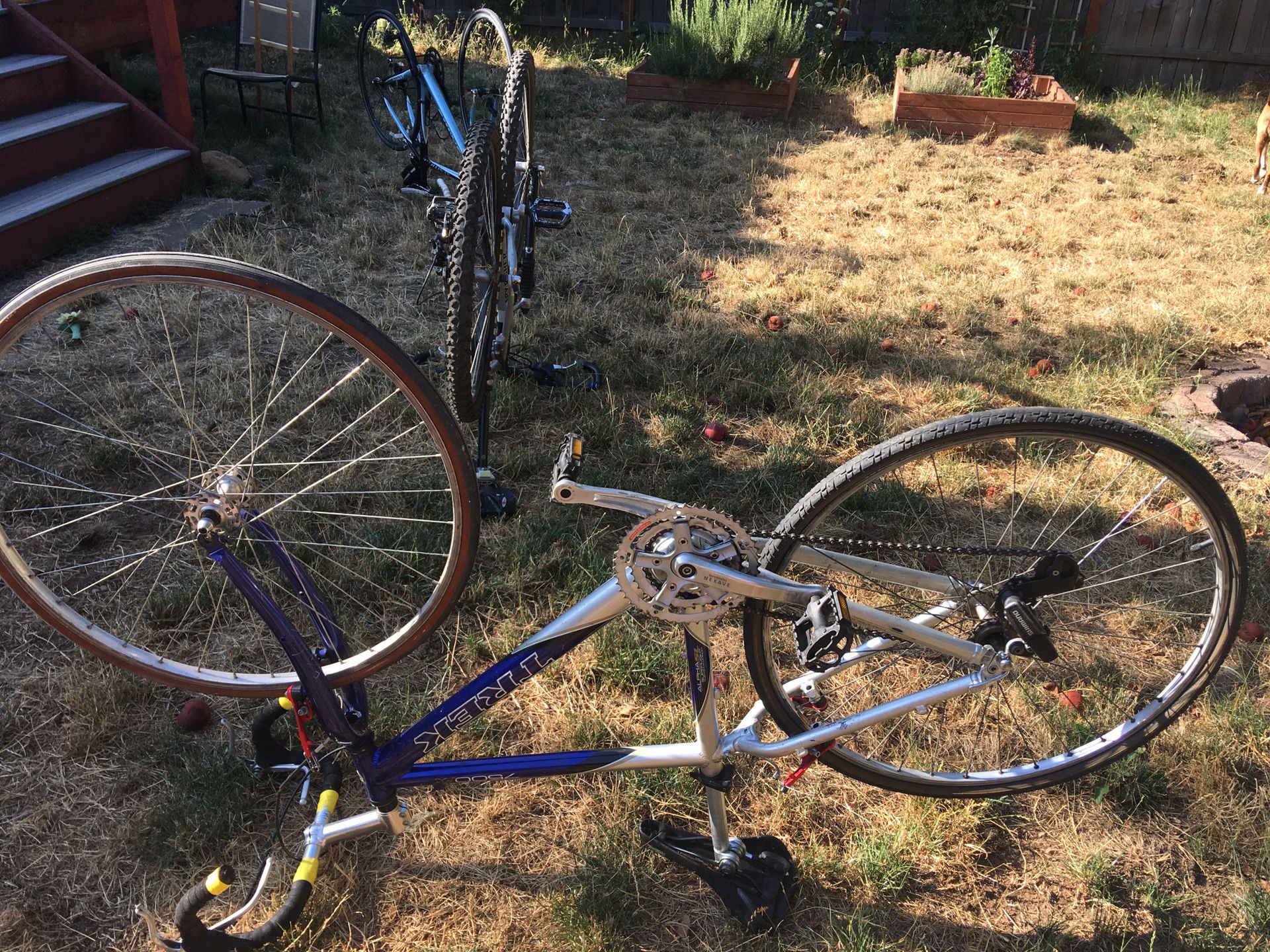 Bikes for sale- need maintenance
