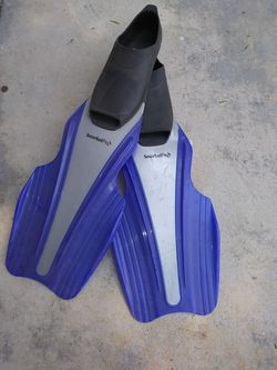 Flippers