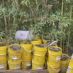Free Soil!!! Buckets Of Dirt Soil For Landscaping