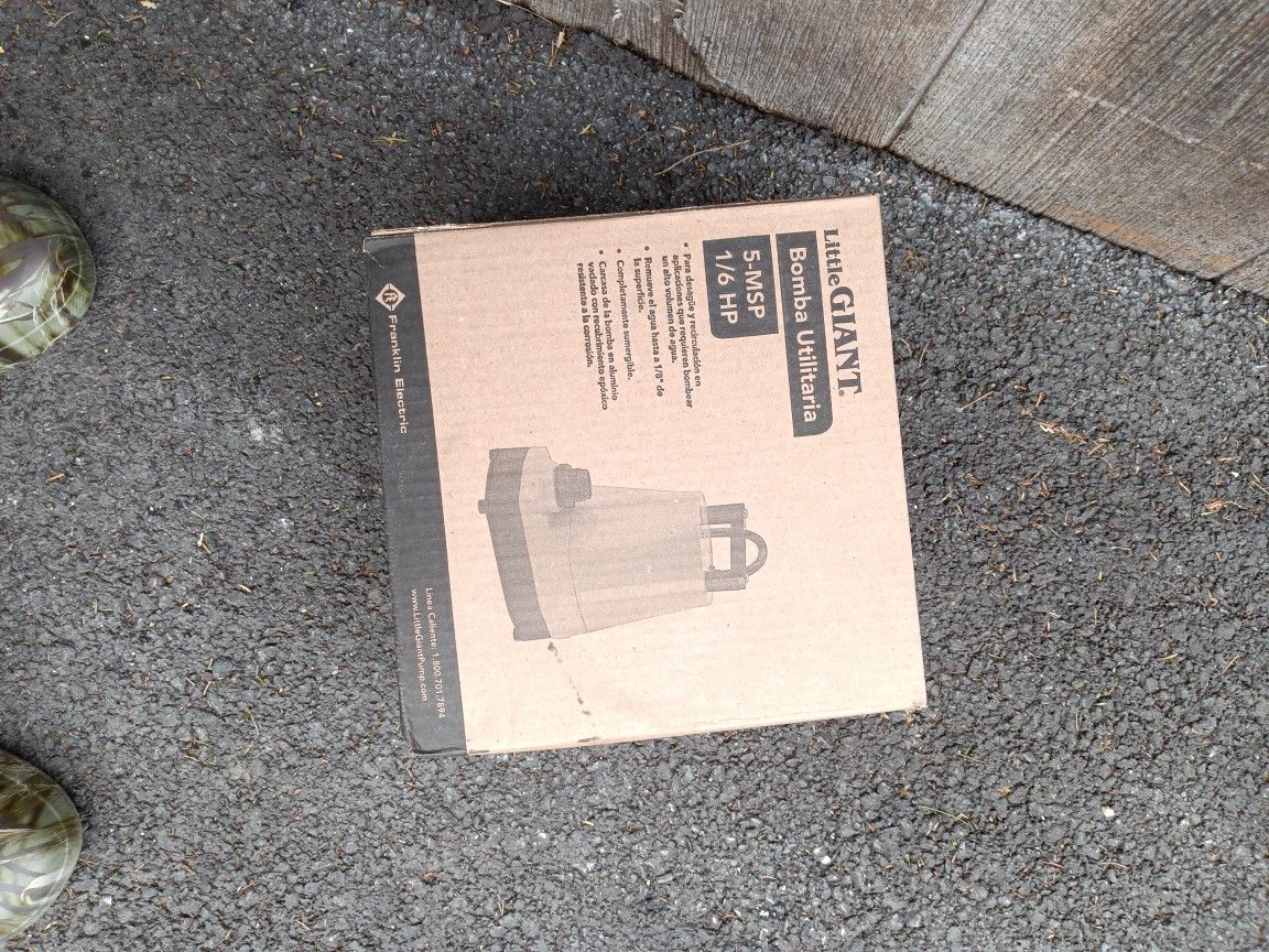Water Pump