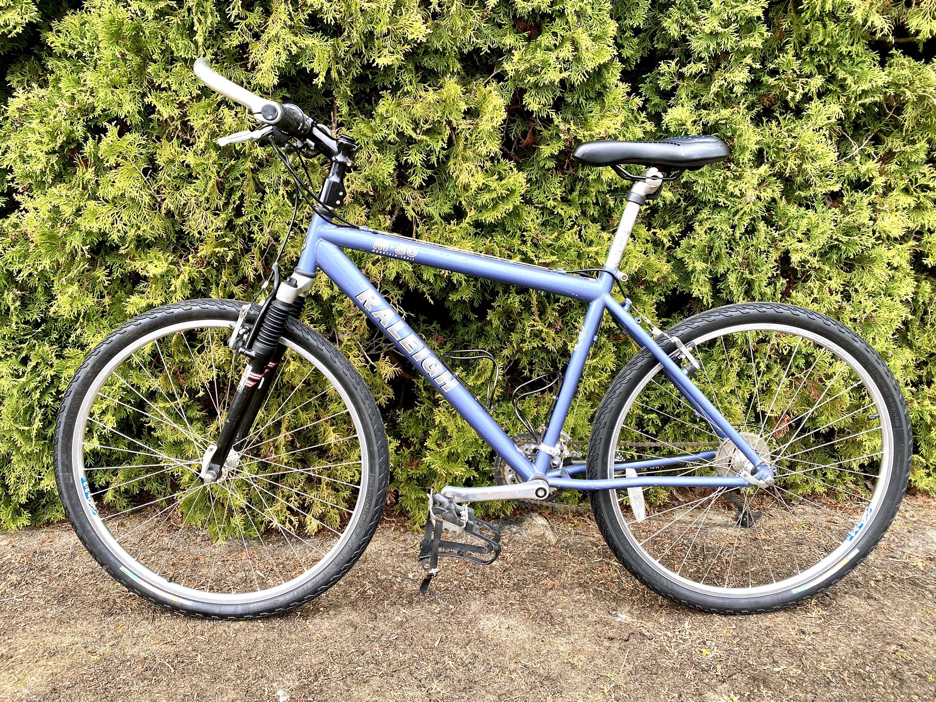 XL Raleigh Mtn Bike