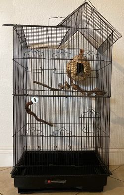 Bird, cage,