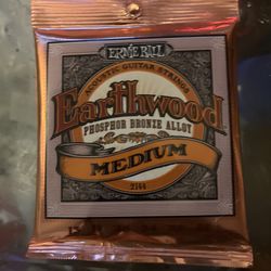 Ernie Ball Earthwood Guitar Strings 