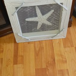 Starfish Shadow Box, $35