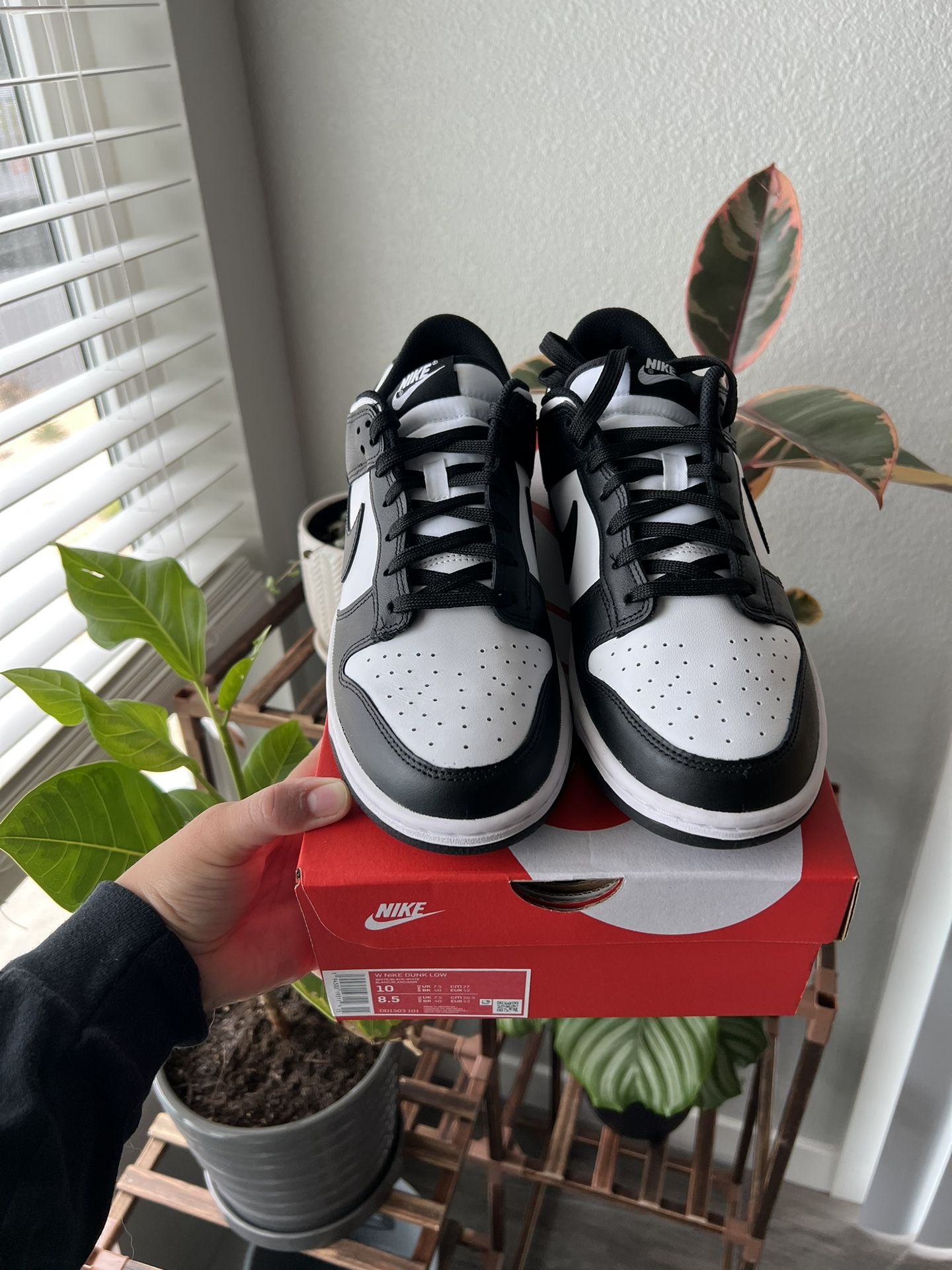 Nike SB Dunk Low Los Angeles Dodgers PS for Sale in Westminster, CA -  OfferUp