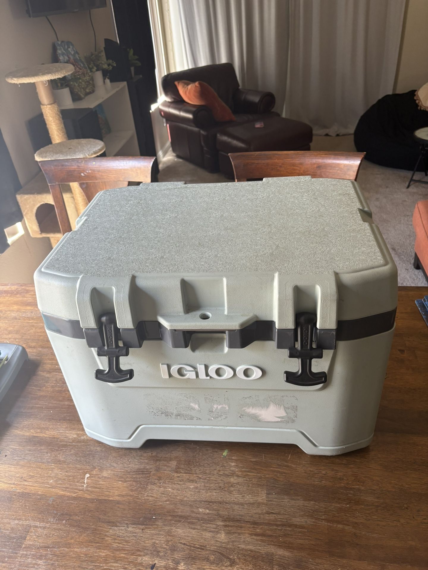 Igloo 74 Qt Cooler