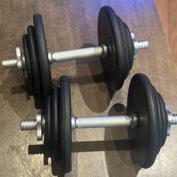 Adjustable Dumbbell Set - 37.5 Lbs Each Hand