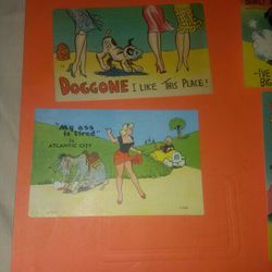 Vintage Funny Postcards 