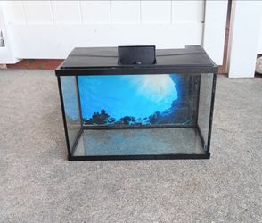 Reptile Tank Fish Tank Holds Water No Cracks No Chips 5.5 Gallons