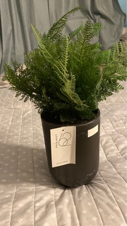 Artificial plant form project 62