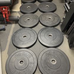 Rogue HG Bumper Weights Set