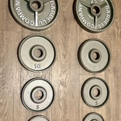 MY BEST IVANKO’S.  Full Set Of Olympic Vintage Weight Plates M Series (245 pounds)