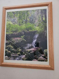 Wall Art 25"×30"