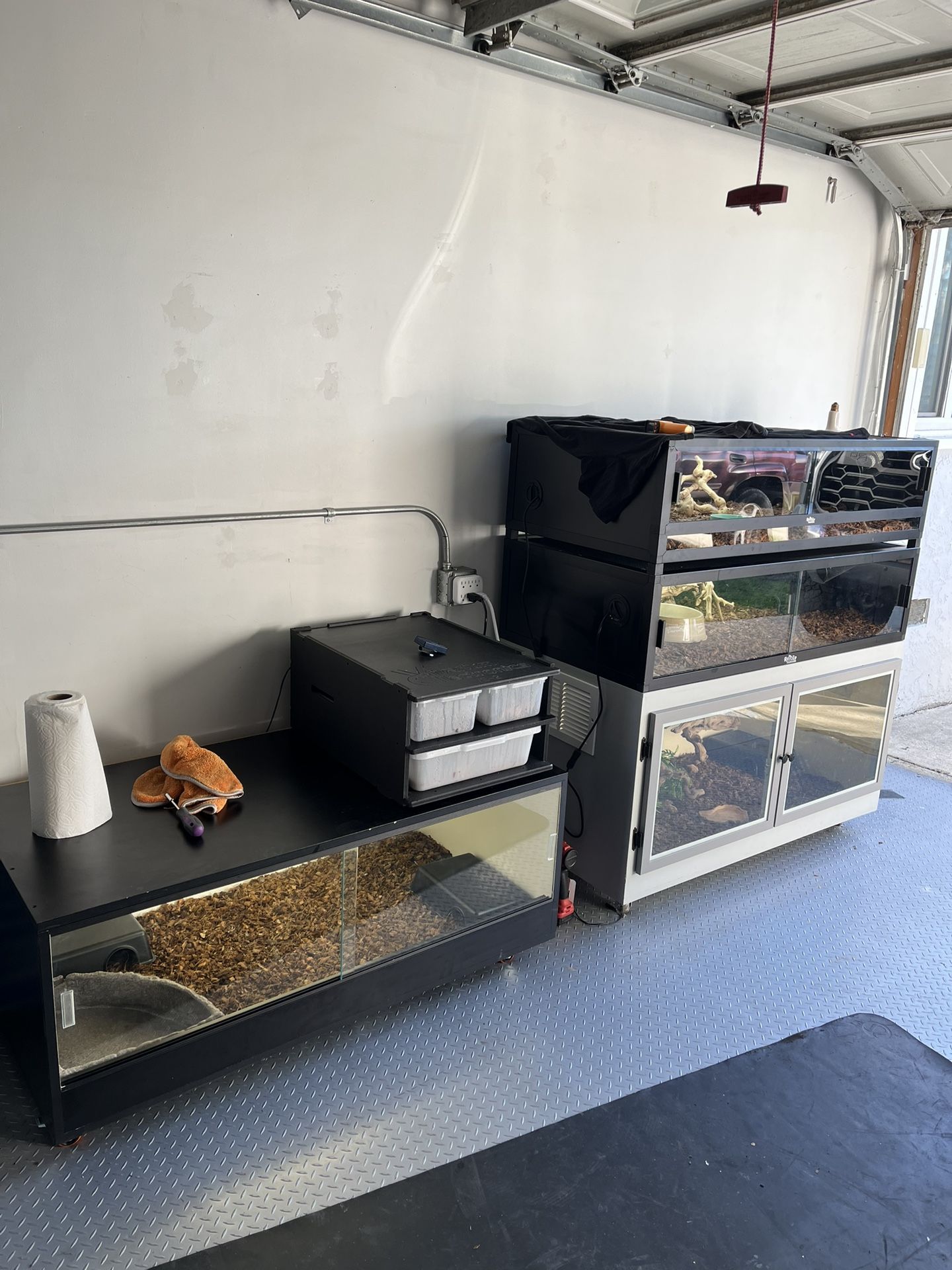 Reptile Enclosures for Sale
